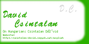 david csintalan business card